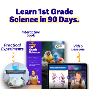 1st Grade Comprehensive Science Curriculum