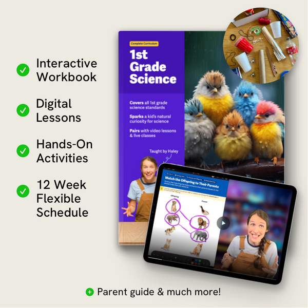 1st Grade Comprehensive Science Curriculum – Tappity Science - Child ...
