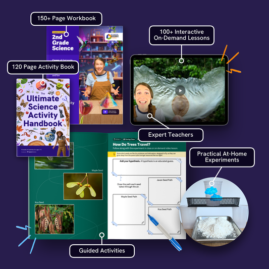 Comprehensive 2nd Grade Science Curriculum
