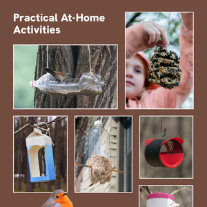 2nd Grade Comprehensive Science Curriculum