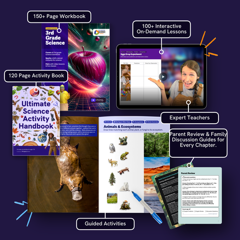 3rd Grade Comprehensive Science Curriculum – Tappity Science - Child ...