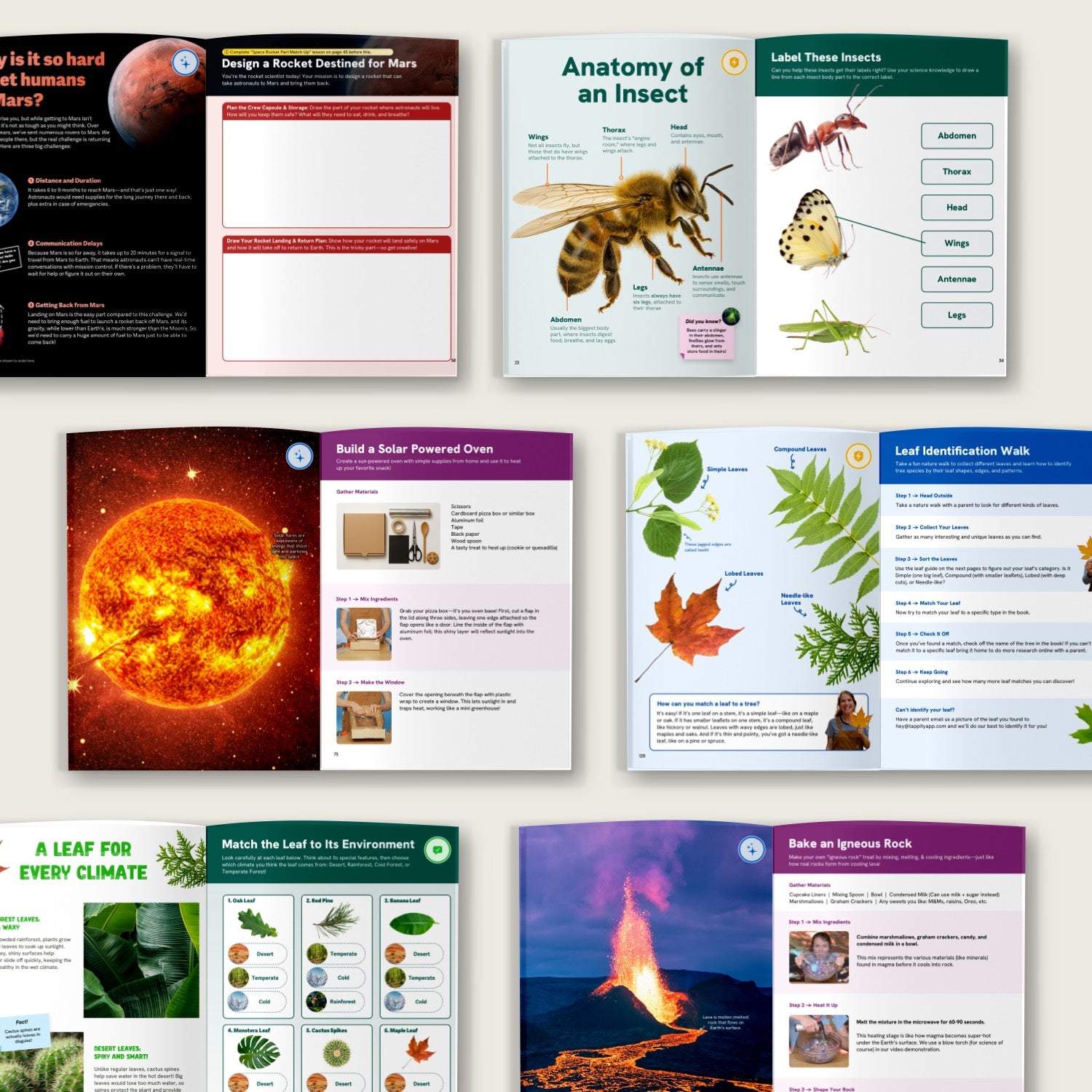 The Ultimate Science Activity Handbook for Ages 7-9