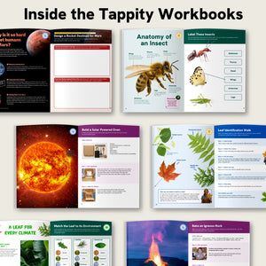 12-Month Tappity Science Curriculum Membership
