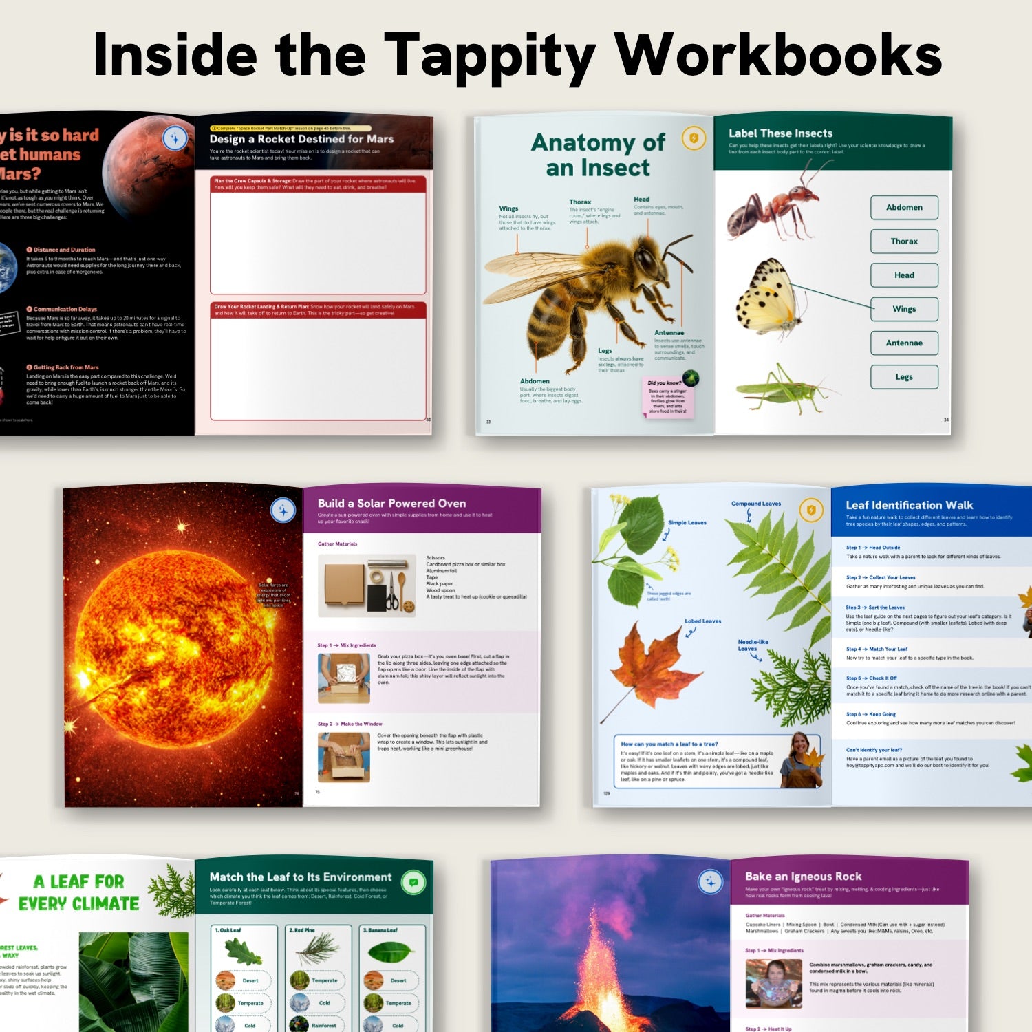 12-Month Tappity Science Curriculum Membership