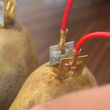 Potato Power & Seed Science Kit